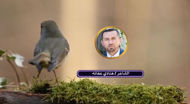  قصيده ( كن يا ولدي ) للشاعر هنادي عفانة